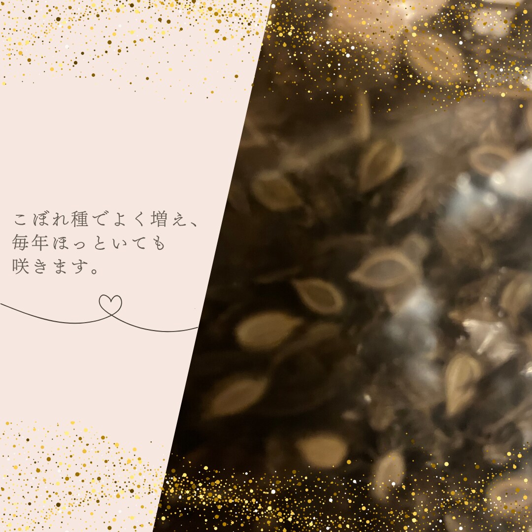 メルカリ出品写真を丁寧に編集＆加工します 背景白抜きや明るさ調整、文字入れなど対応可能。 イメージ4