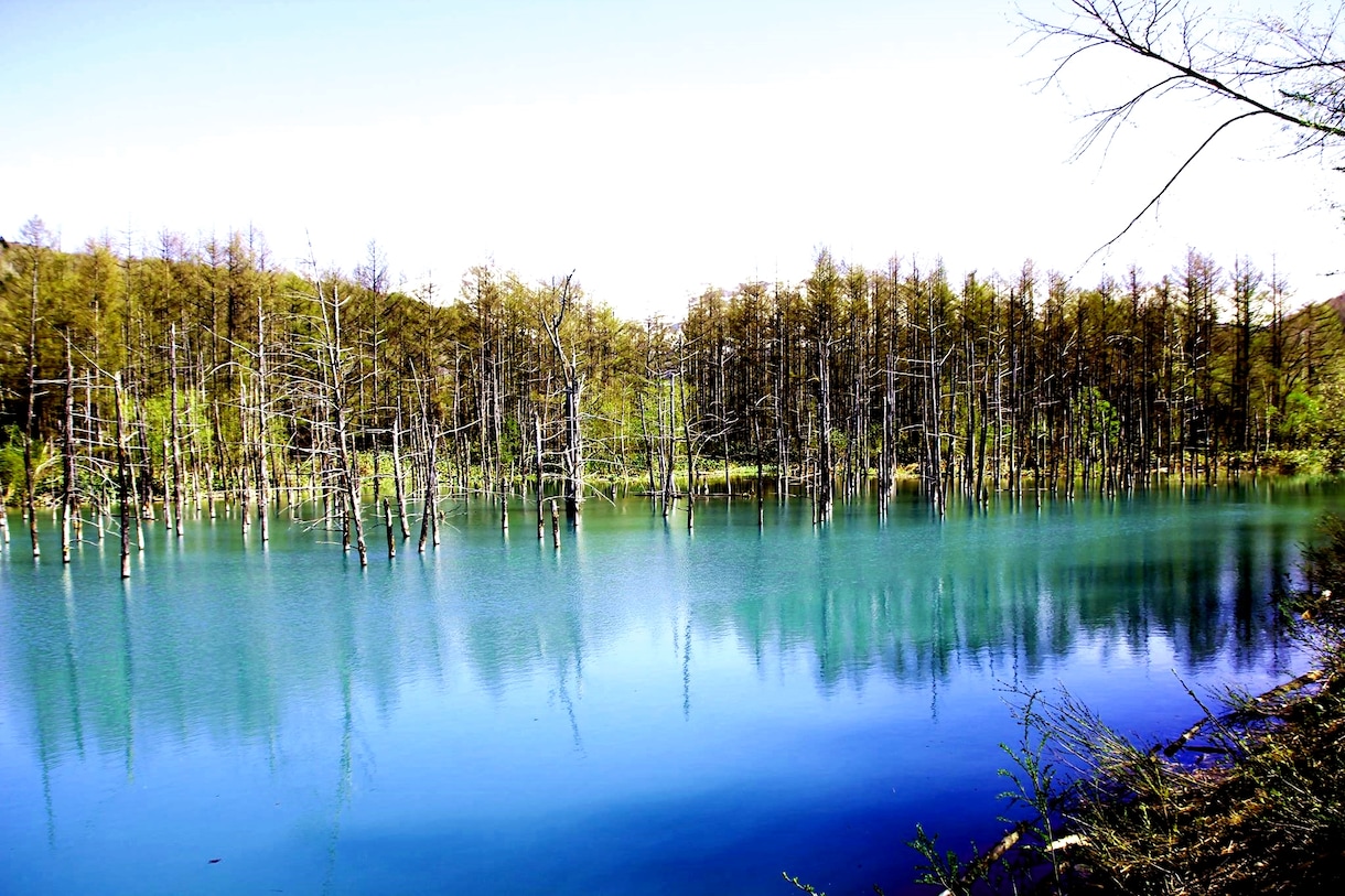 北海道（道北近辺）の風景写真撮ります 北海道に行った気分になれるようなフォトを提供します イメージ1