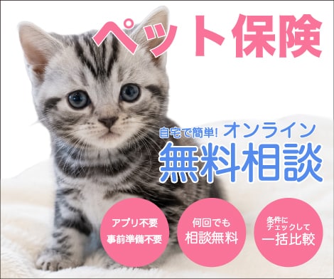 バナー広告のデザインを作成します ご要望に沿ったデザインや色合いを作成します！ イメージ1