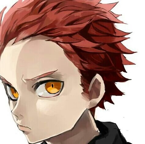 SNSで使用するアイコン描きます あなたの理想を形にします(全身全霊) イメージ2