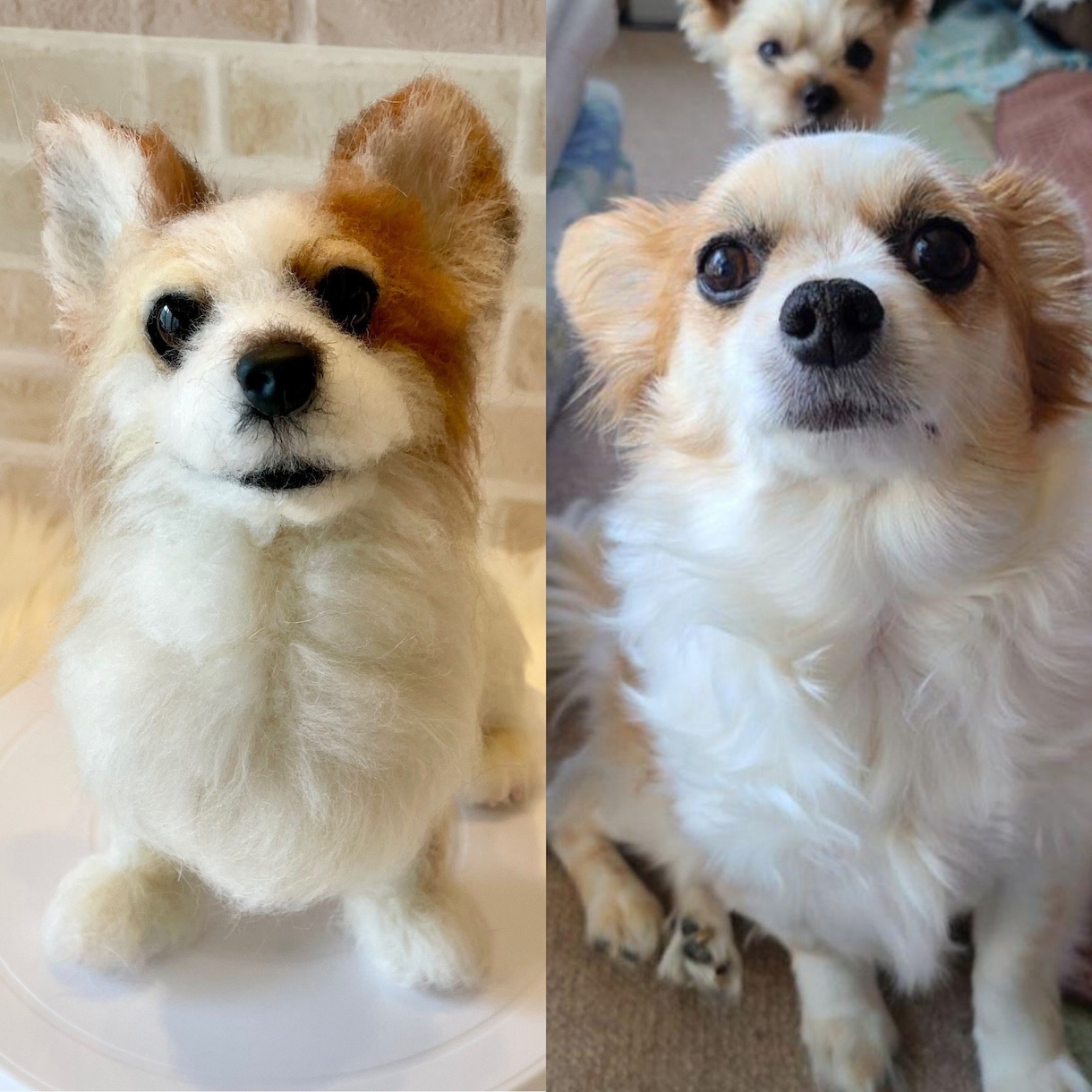 うちの子ワンちゃんお作りします 羊毛フェルトオーダーで愛犬をずっとそばに イメージ5