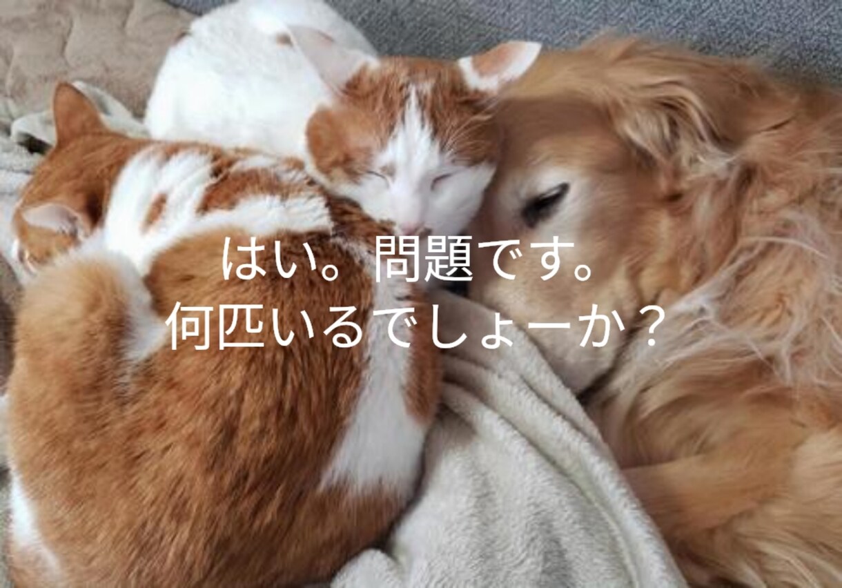 ちょっとだけ聞いて欲しい。話したい。聞きます 元気が無い時は無言でも大丈夫。同じ時間を過ごしましょう。 イメージ3
