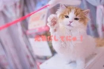 誰にも言えないあなたの心の内をお聞きします 愚痴/お悩み/人間関係/お仕事/秘密/モヤモヤ/パートナー等 イメージ4