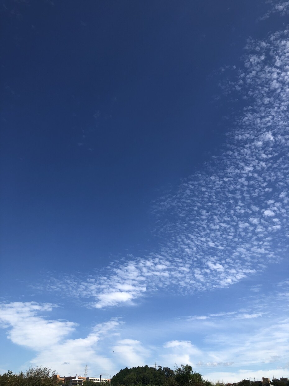お悩み相談お聞きします 一人で悩まず相談しよう。必ず場面が変わります。 イメージ1