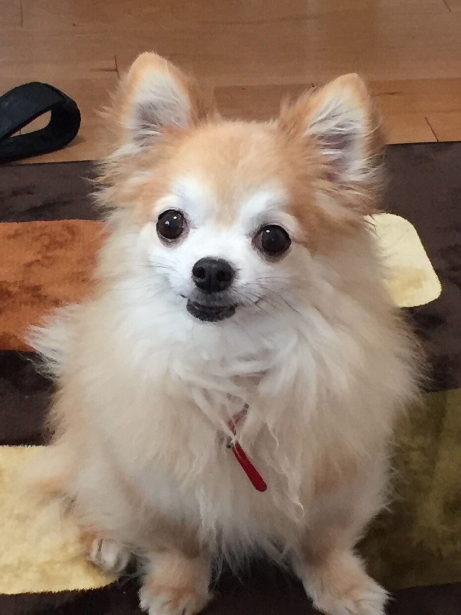 愚痴や不安そして不満をお聴きします 今日とは違う明日の気持ちでありますように… イメージ1