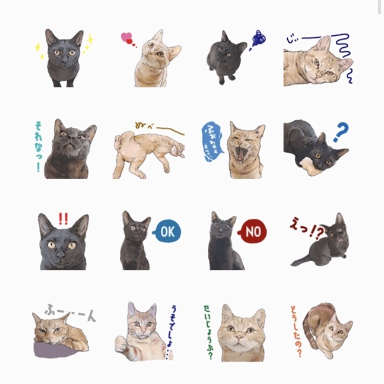 愛ペットたちのLINEスタンプ作ります 写真を元にしたリアルなイラストで「あの時の表情」をスタンプに イメージ3