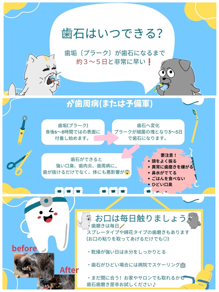 Instagram投稿を作成します 心を込めてInstagram投稿画像を作成します イメージ2