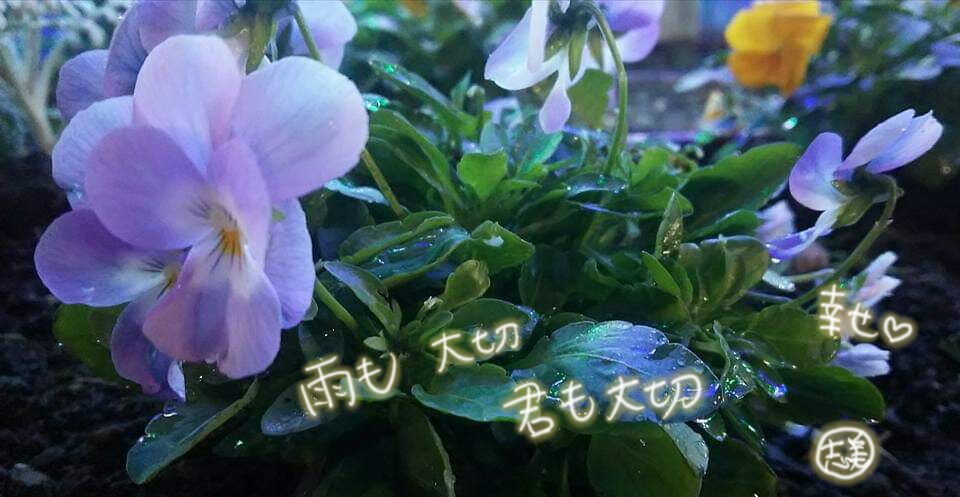 スピリチュアル難民脱出行手伝います 1週間やりとり放題！本当の自分を知りたい、向き合いたい方限定 イメージ5