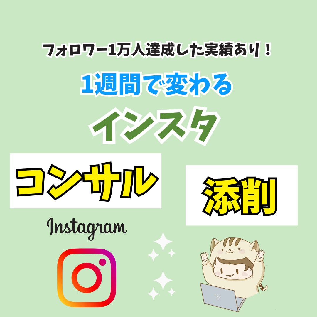 あなたの新規アカウント、既存のアカウント添削します インスタ運用の悩みや疑問を解決します！ イメージ1