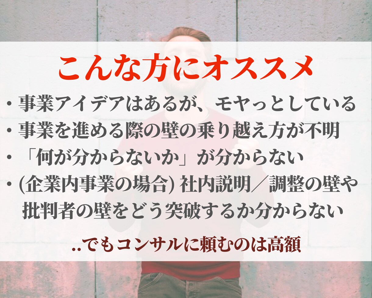 事業ブラッシュアップや壁を乗り越える支援をします 売上1兆超正社員+起業経験から、事業を前に進める支援します！ イメージ2