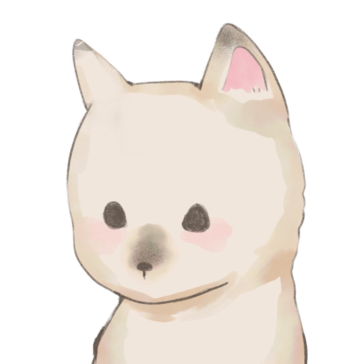 動物のふんわりイラストを描きます SNSのアイコンをあなたの大切なペットイラストにしませんか？ イメージ2