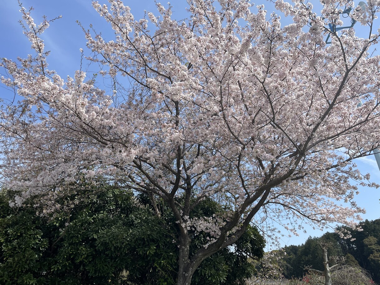 お話お聞きます 愚痴、お悩みお聞かせください。手放しましょ。 イメージ2