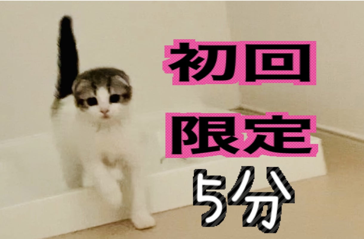 初回限定！【5分1000円】お話し聞きます /初めての方はこちらの【お試し価格】をご利用下さい♪ イメージ1