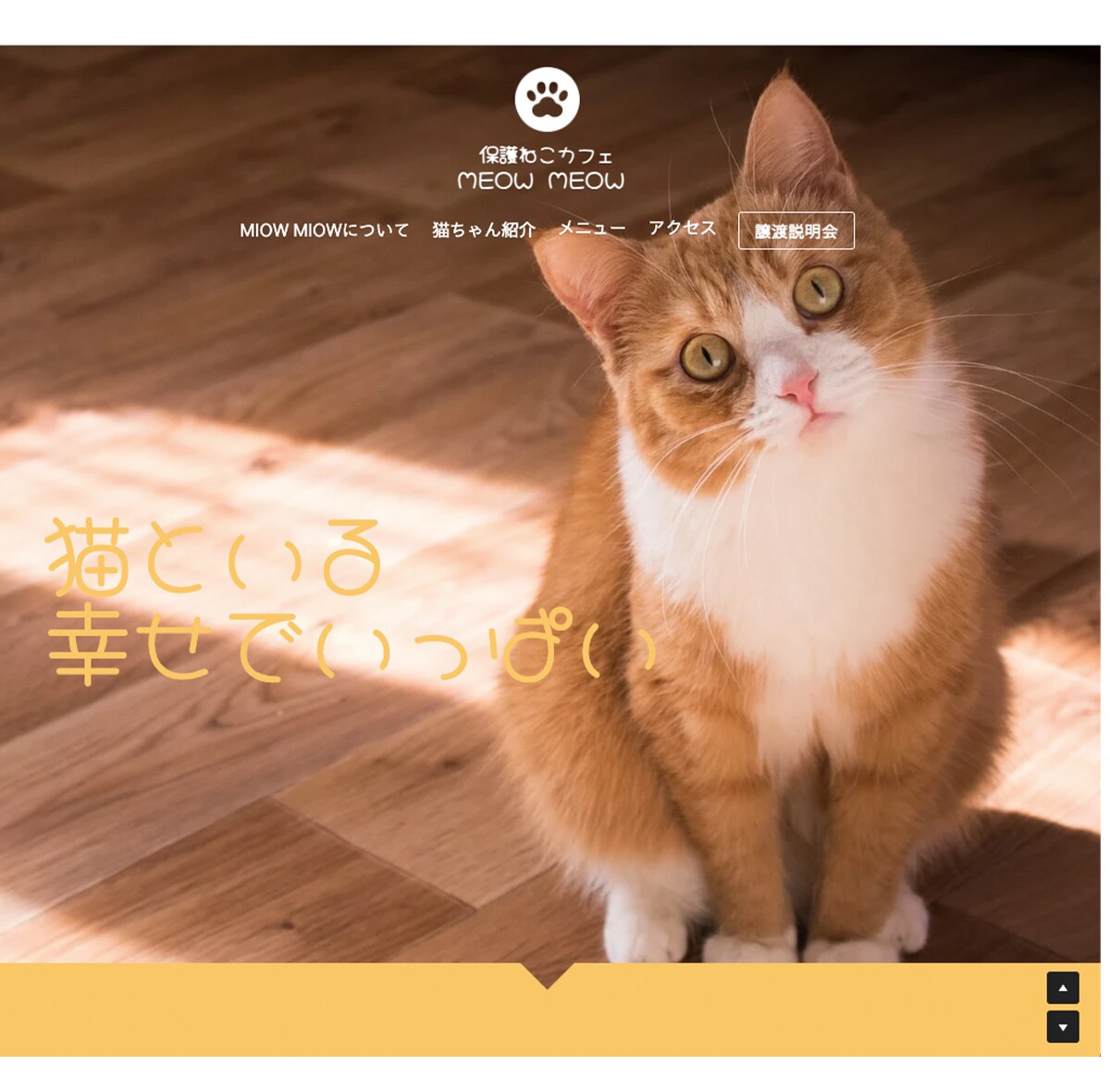 studioでランディングページ制作します 個人、起業、独立して頑張るあなたを全力でサポートします！！ イメージ7