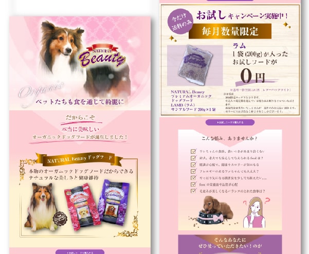 ペライチを使って(•ᴗ•)オシャレなLPを作ります 無料ペライチで女性を惹き付けるオシャレLP★お手軽に集客UP イメージ2