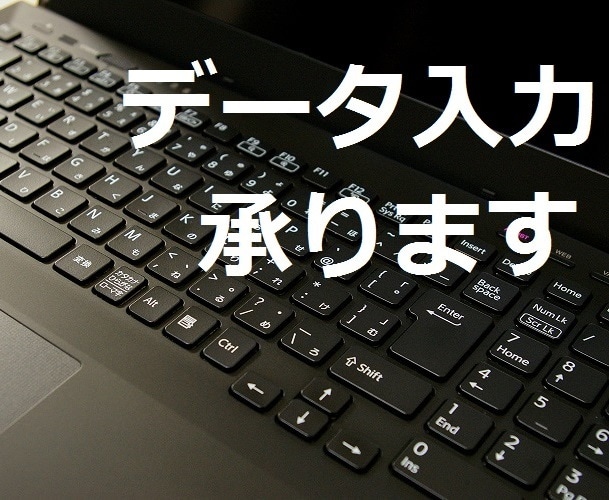 Excel等のデータ入力代行致します 実績が無いので勉強させてください。 イメージ1
