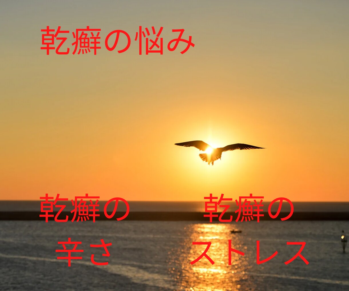 乾癬の辛さに共感し、沈んだあなたを元気にします ✅誰かに聞いて欲しい⚡️イライラ⚡️もやもや⚡️何でもOK イメージ3
