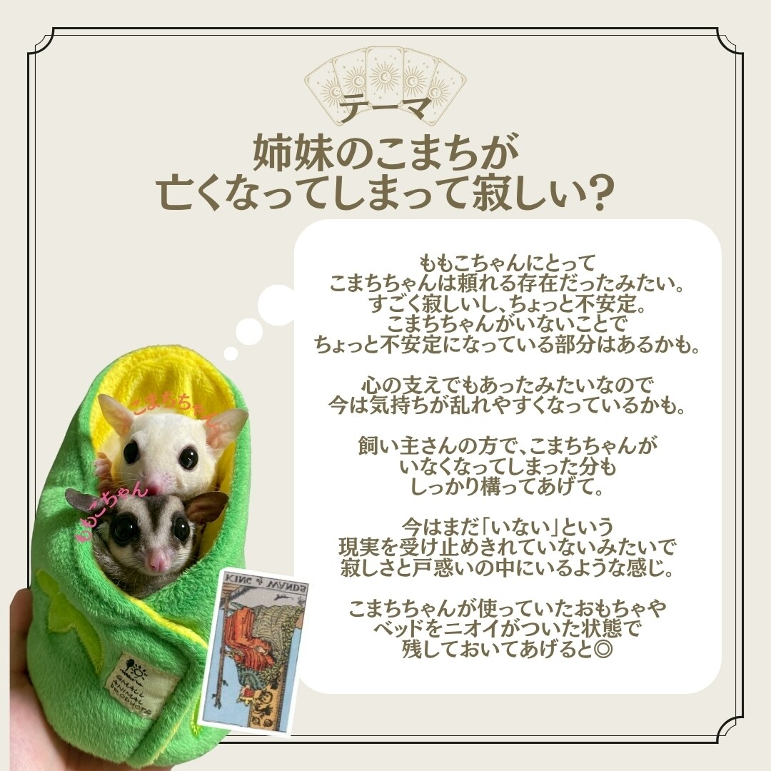 1枚引きで大切な家族の気持ちを占います タロットカード：ペットちゃんの気持ち占い イメージ4