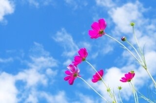 受け止めます あなたの心の中にあるモヤモヤを不満を吐き出してください イメージ1