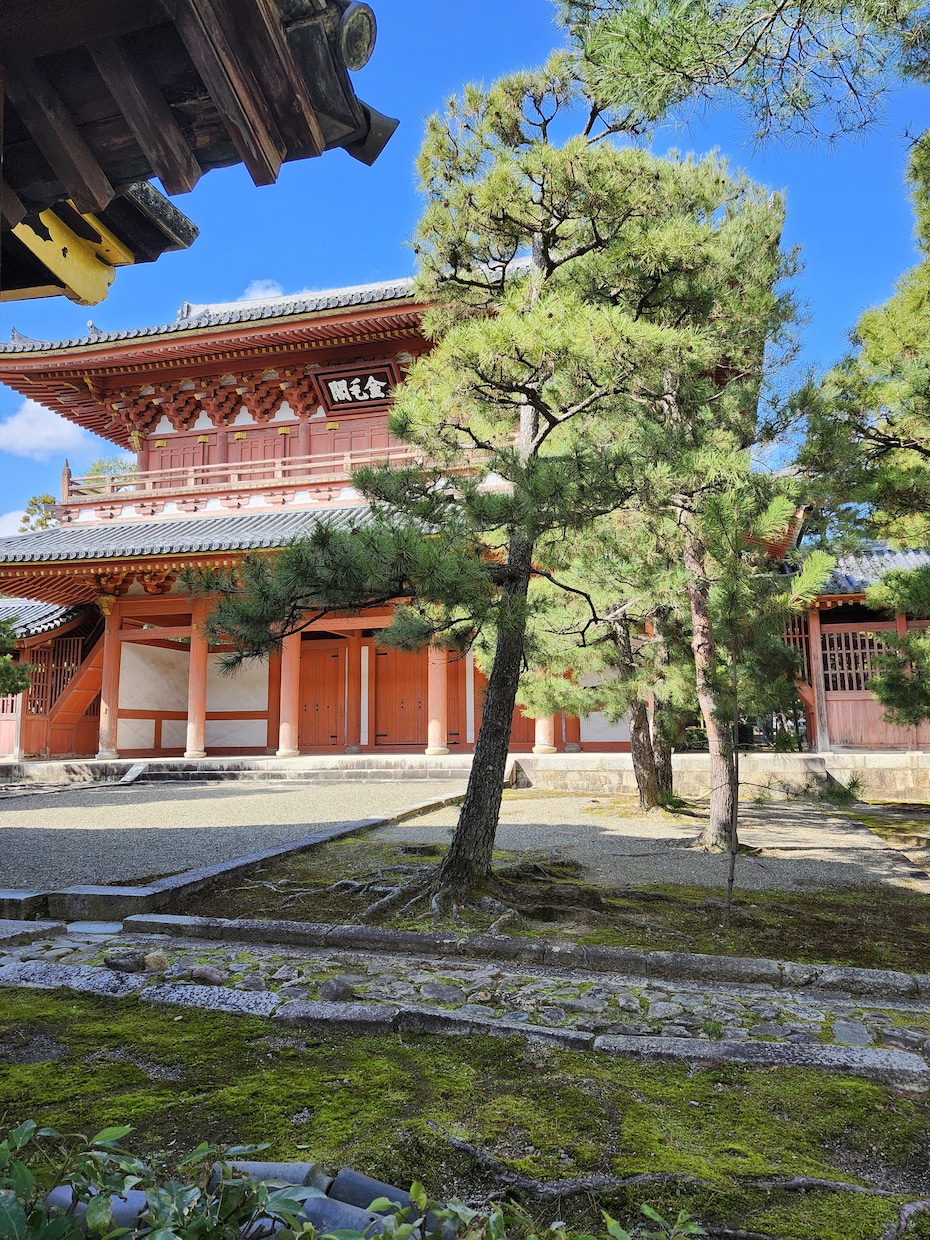 お引越し・長期の移動の吉凶占います プロの九星気学鑑定士があなたのお引越し先を占います イメージ1