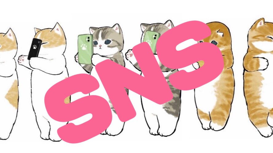 SNSアカウント作成・ブランディングお手伝いします SNSをもっと身近なものに！！ イメージ1