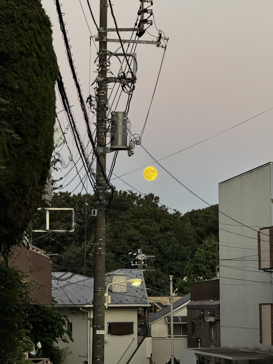 AIには出来ないことを証明します 貴方様の全て受け止め、さらに前に進めるように背中を押します イメージ6
