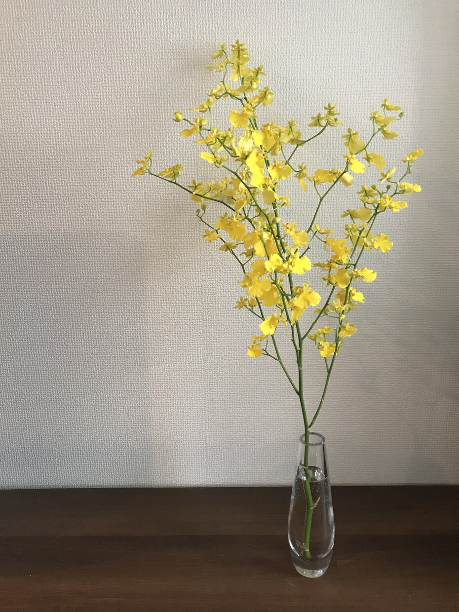 初心者向けの英会話レッスンします Nativeといきなりは怖い方、楽しく話しましょう☺️❣️ イメージ1