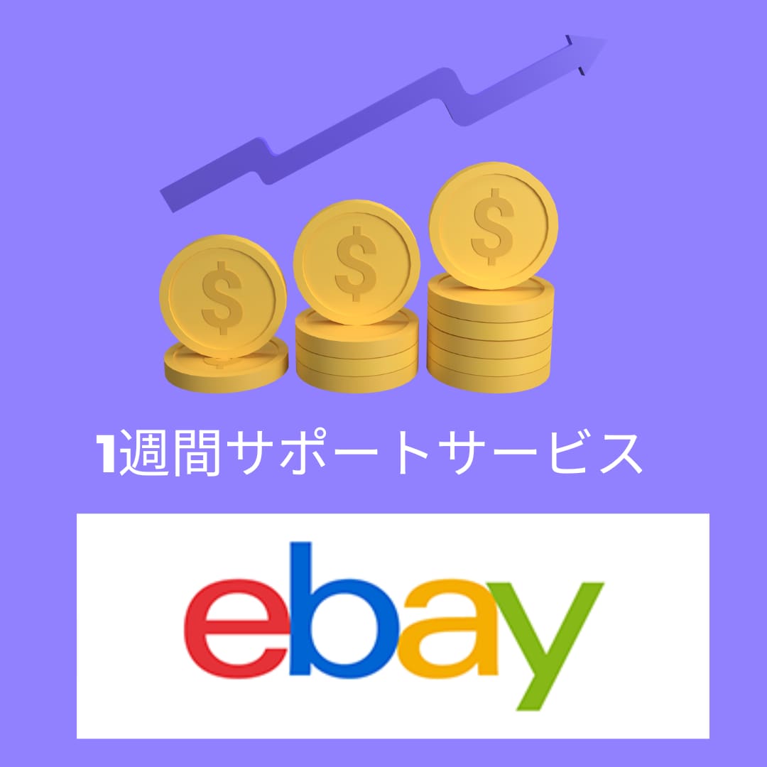 ebay輸出について相談に乗ります ちょっとしたことでも、悩みでもなんでも聞いてください！ イメージ1