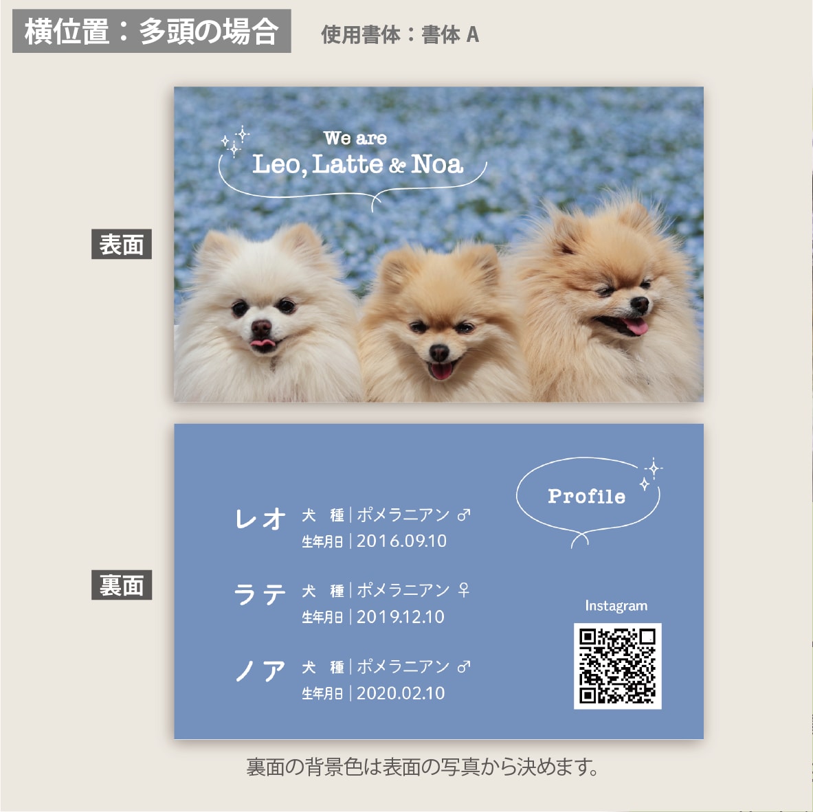 ペット・うちの子名刺をお気に入り写真で作成します デザイナーへのセミオーダーで両面印刷100枚送料込 イメージ4