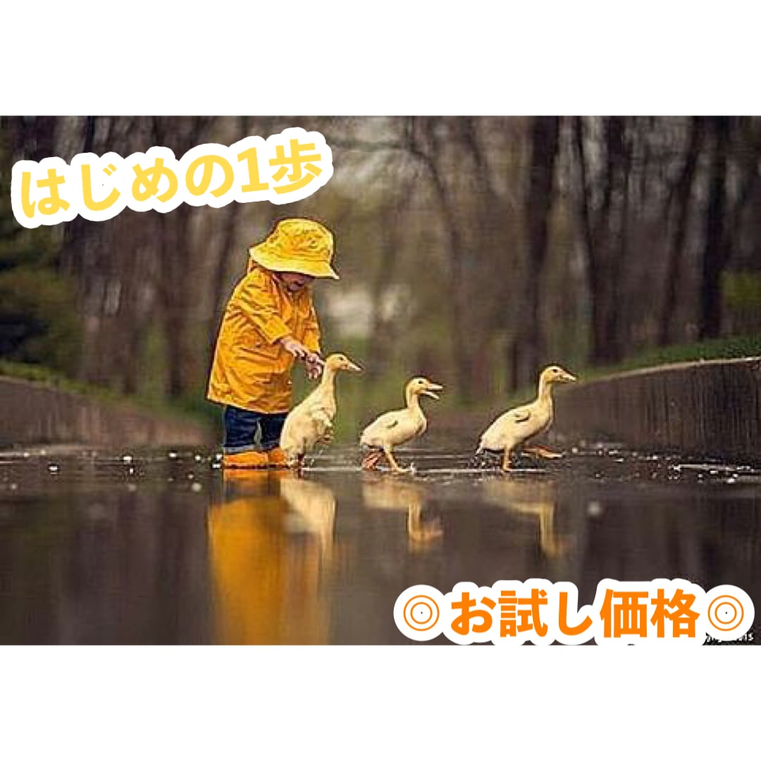 お試しプラン◎最初の1歩.お悩み何でも寄り添います まずは気軽に試してみてください、覗いてみてください。 イメージ1