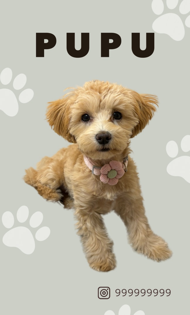 Canvaで編集できる！犬の名刺作成します 犬友さんとの交流やお散歩会におすすめ イメージ2