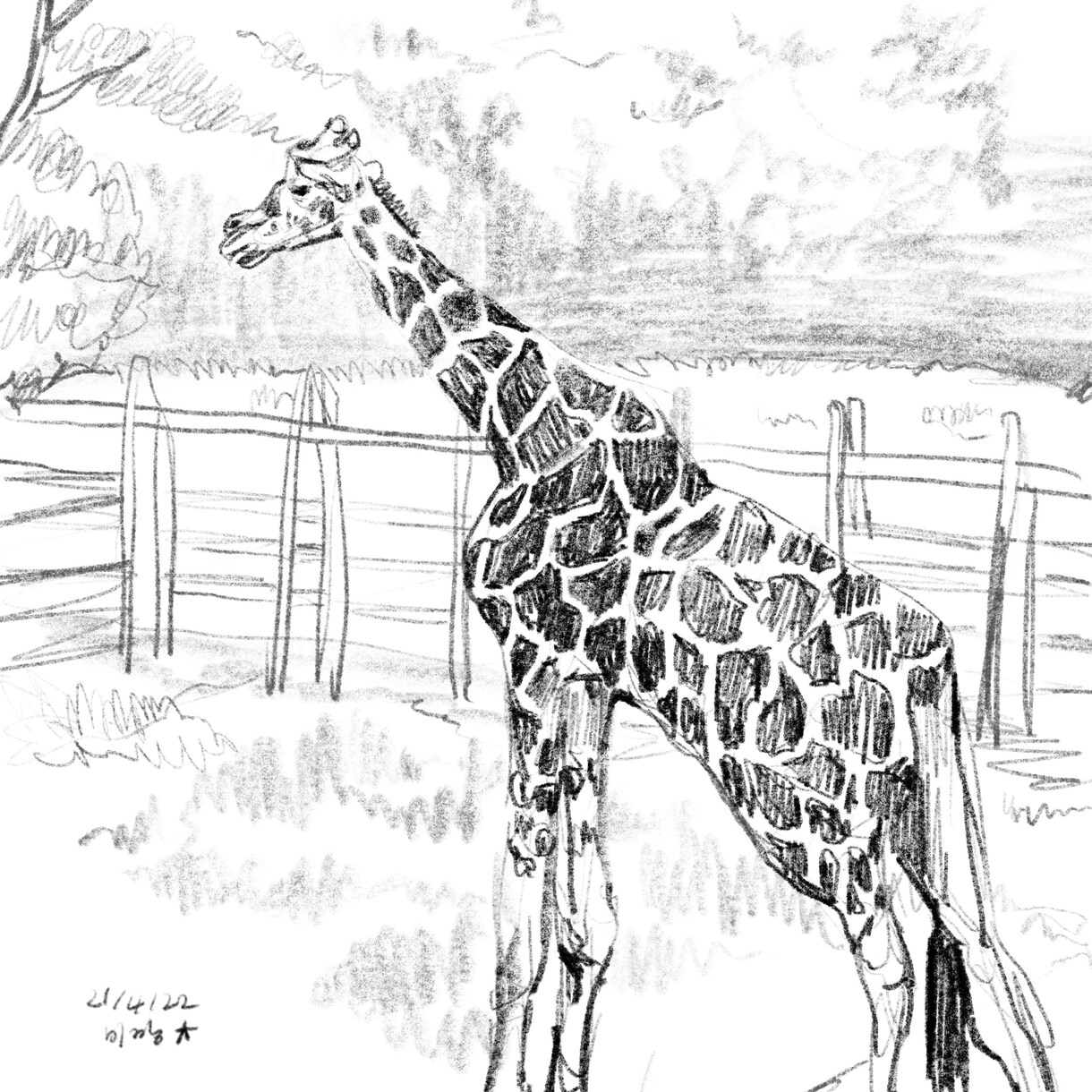 プレゼント用のイラスト描きます 素敵なイラストを大切な人にプレゼントしませんか？ イメージ4
