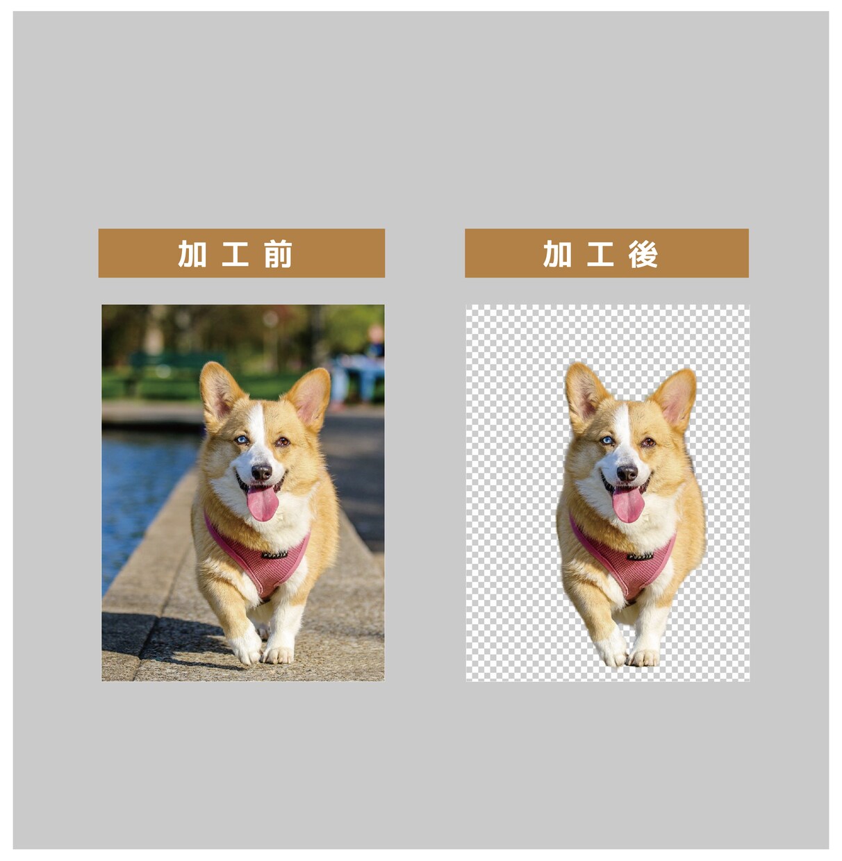 写真や画像の切抜き・白抜きをいたします 面倒な作業はお任せください！低コストかつスピーディーにご提供 イメージ3