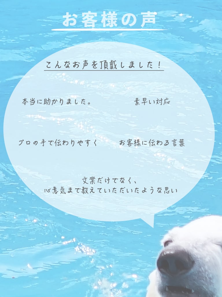 メルマガ/DM/挨拶状/プレゼン 添削します 文章のお悩み”まるっと”解決！　リライト、ライティングします イメージ3