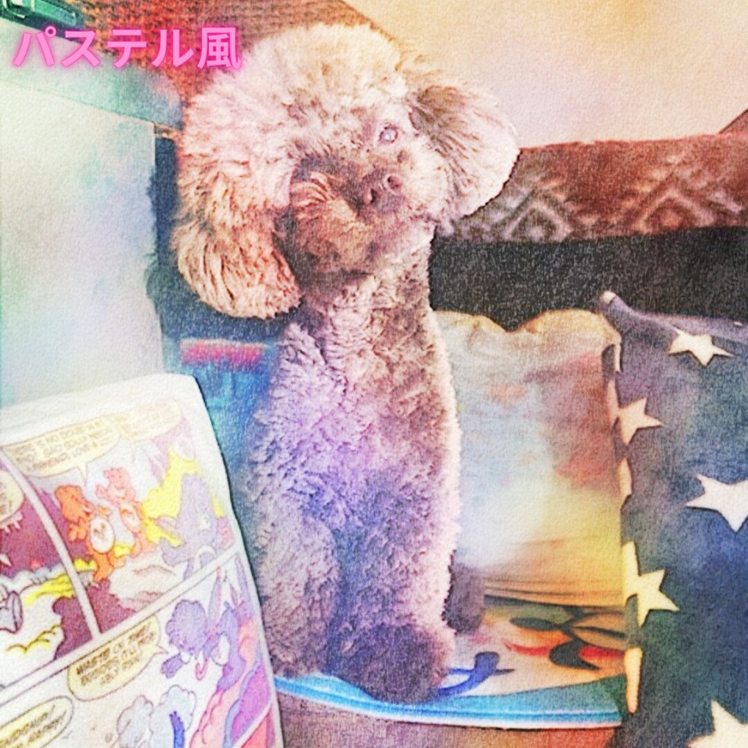 うちの子のお写真を様々なお洒落なアートに制作します 大切な家族の一員をアートにして作りませんか イメージ6