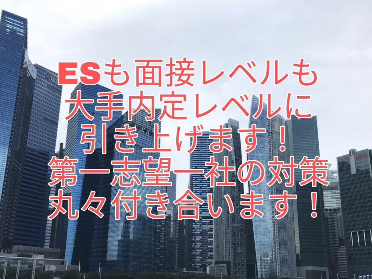 あなたの強み最大限に引き出して第一志望対策します 大手内定10社レベルまで叩き上げます！ イメージ1