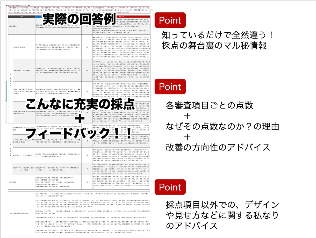 事業再構築補助金の事業計画書を採点します 現役・中小企業診断士が詳しいコメント付きで審査項目をチェック イメージ2