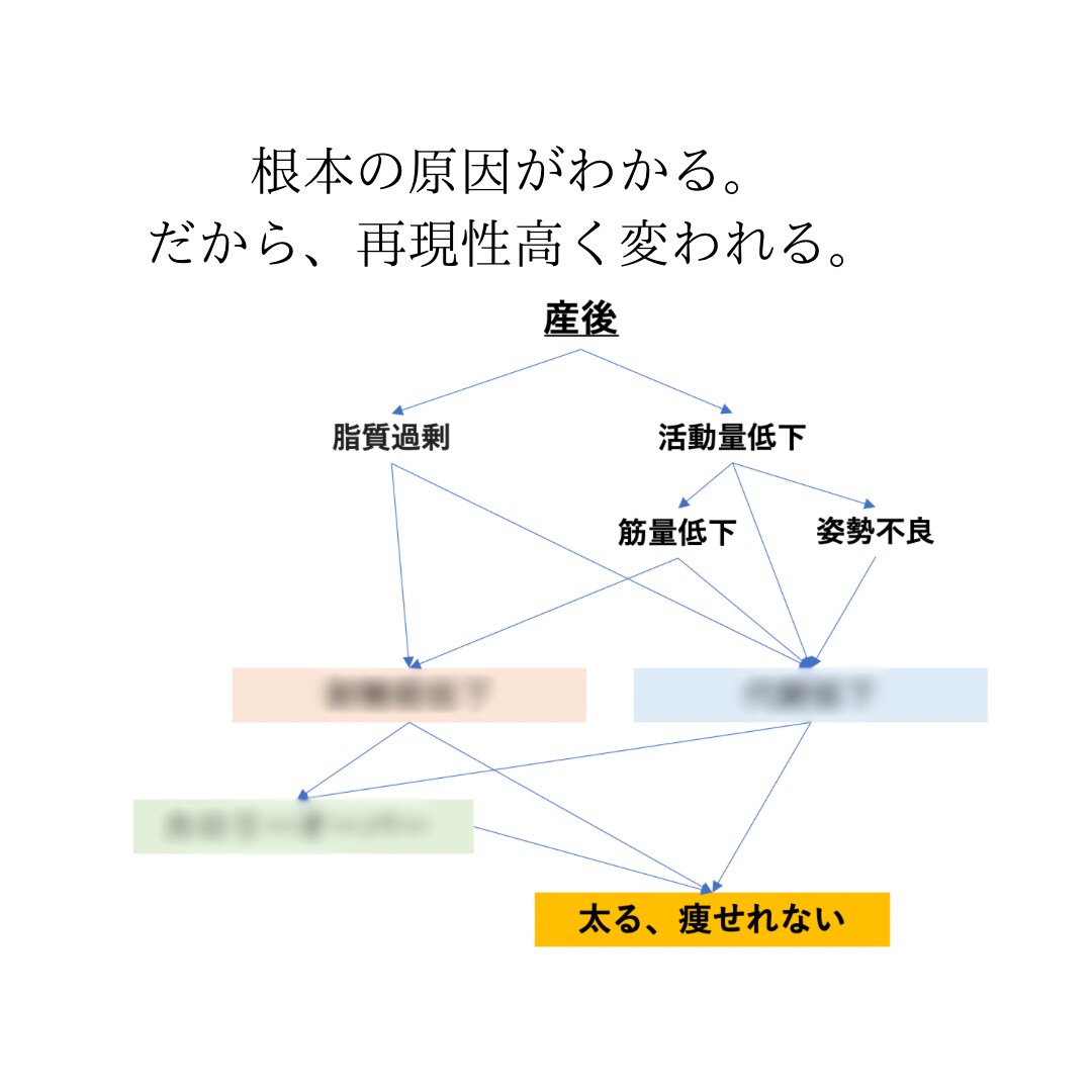 先着10名様限定/再現性の高いダイエット指導します 臨床栄養医学指導士による高品質の徹底サポート✨ イメージ4