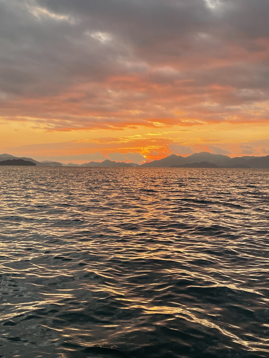 自然の撮影をします 広島県の中ならどこでも行きます。 イメージ1