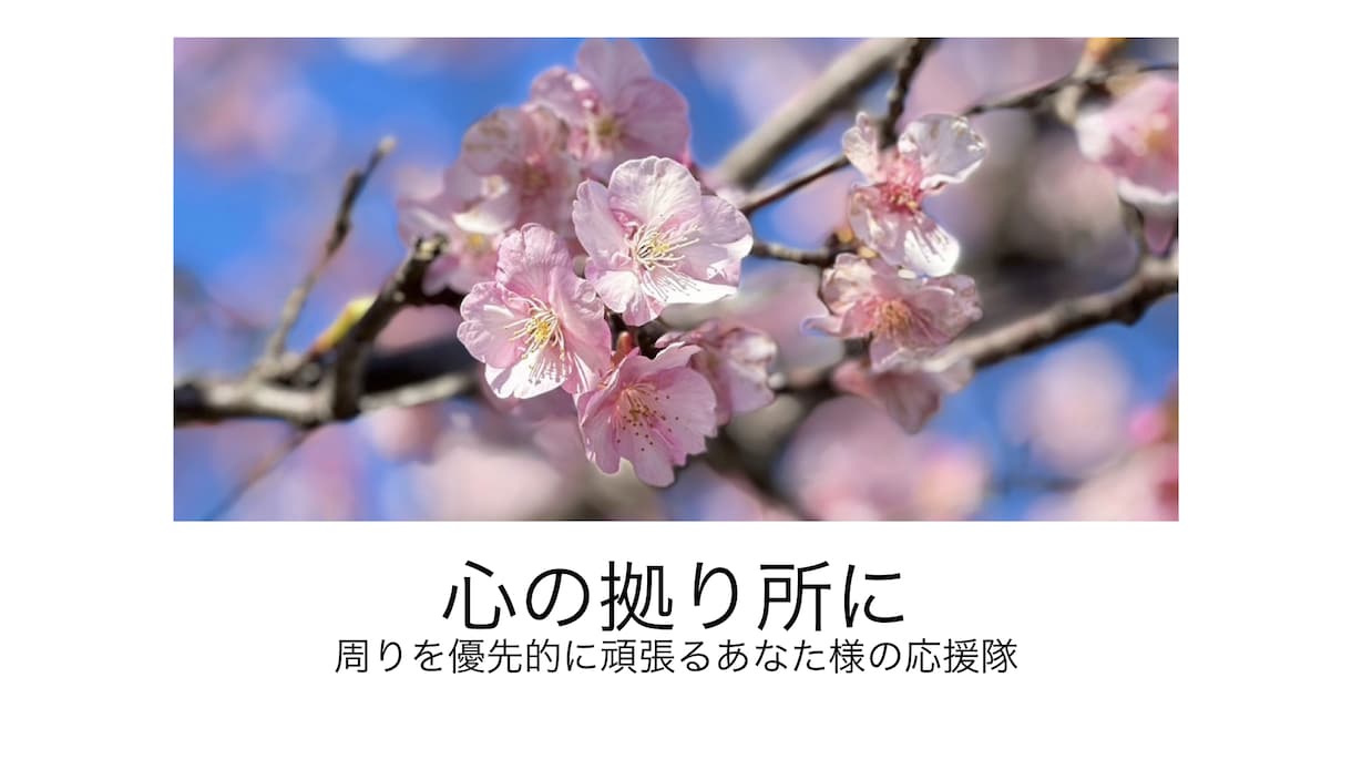 介護疲れある方へ✴︎1時間チャット心の負担聞きます ✴︎相談相手になります！共感・寄り添い・勇気づけを届けます！ イメージ1