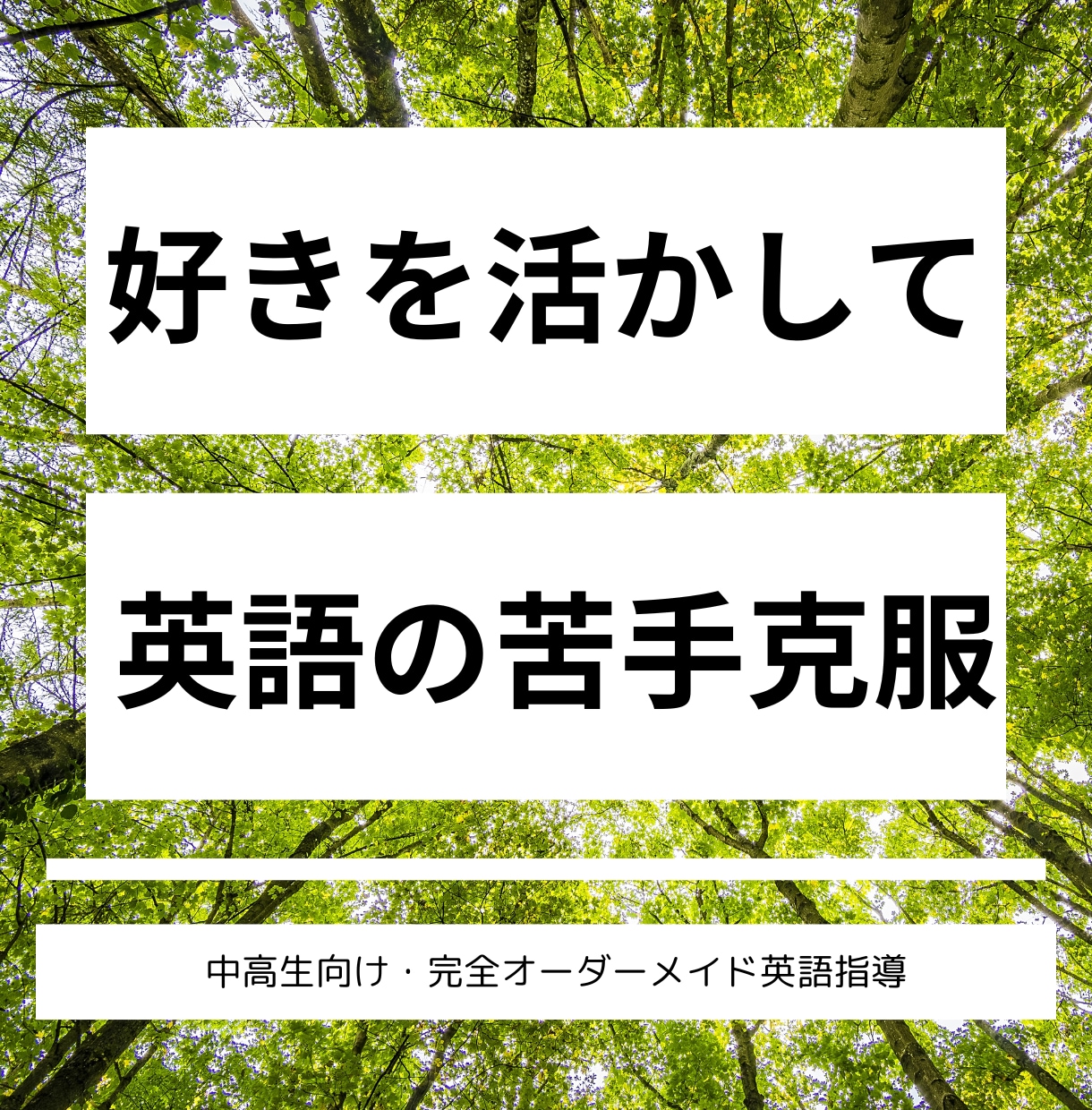 好きなことで学ぶ、英語の新しいカタチを提供します 好きなテーマで学ぶから、英語が楽しくなる イメージ1