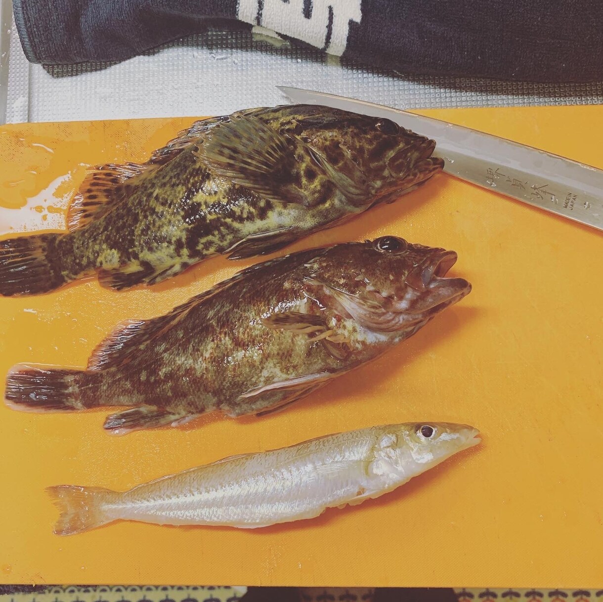 釣り教えます 初めての方や、もっとうまくなりたいかたに。 イメージ5