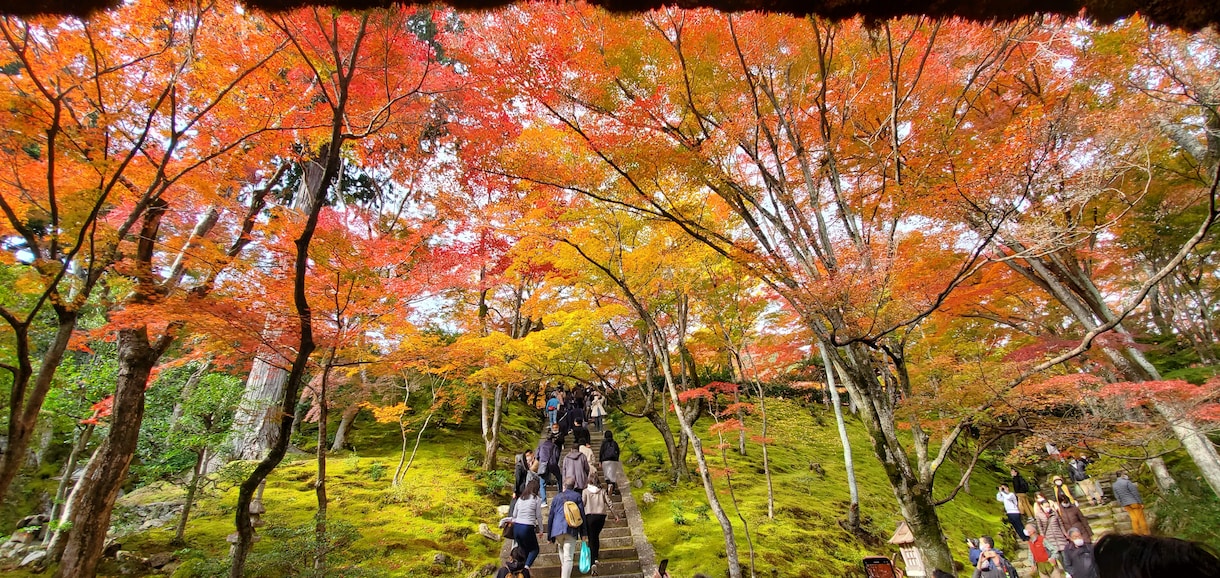 わたしでも誰かのお役に立てれたらと思います お話してると時間ってあっという間に過ぎてて不思議ですよね？ イメージ1