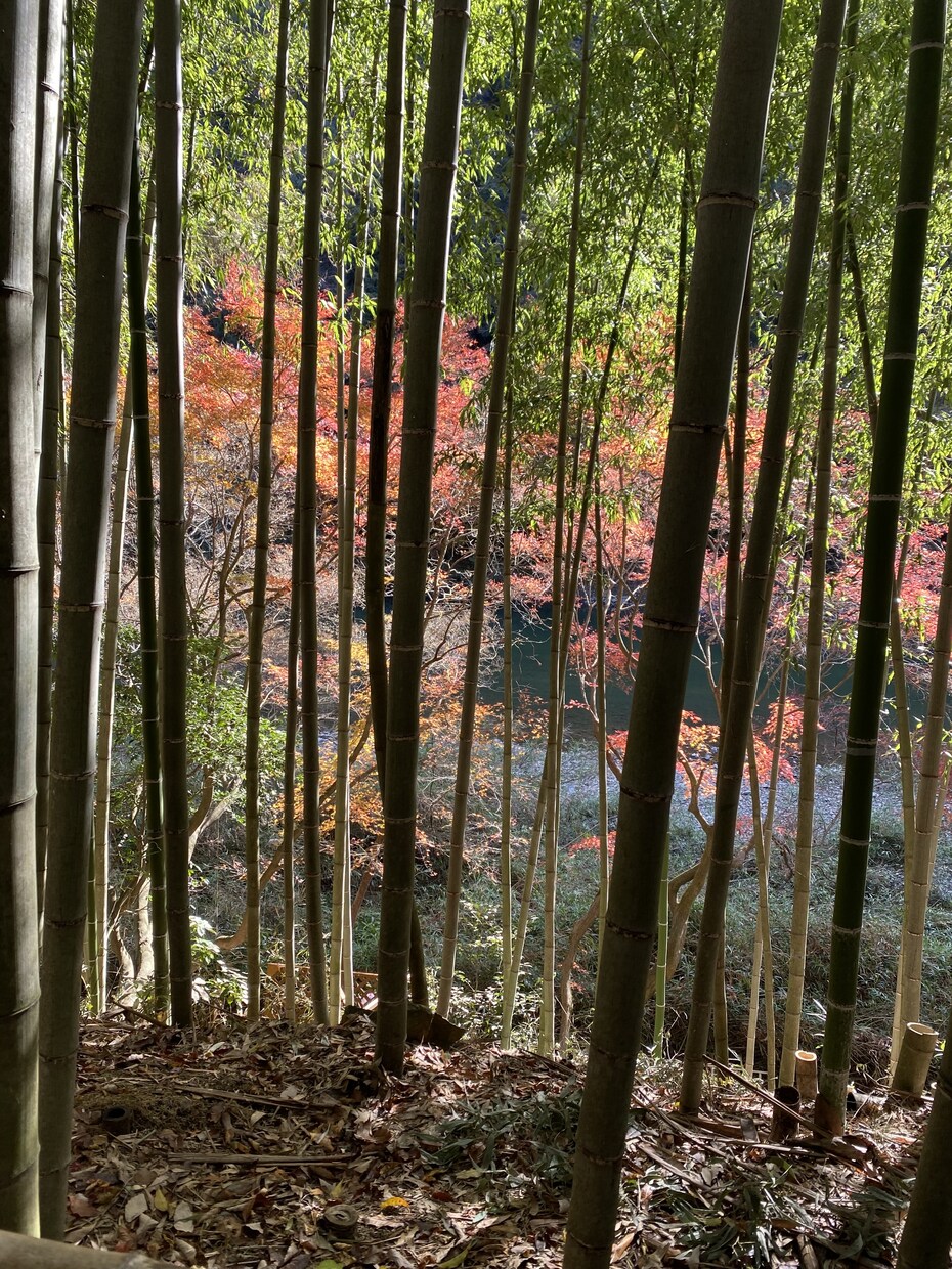 恐怖体験お話します 心霊体験や不思議体験、周りの人に起こった話をお伝えします。 イメージ1