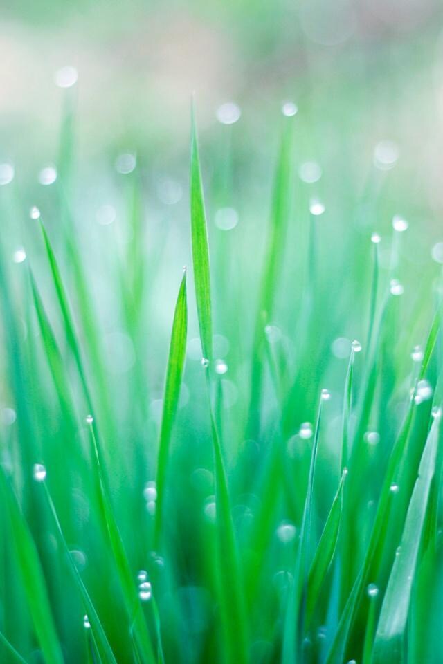 誰でもOK♪気楽なおしゃべり相手・雑談相手します ちょっと話したいときも・じっくり話したいときも イメージ1