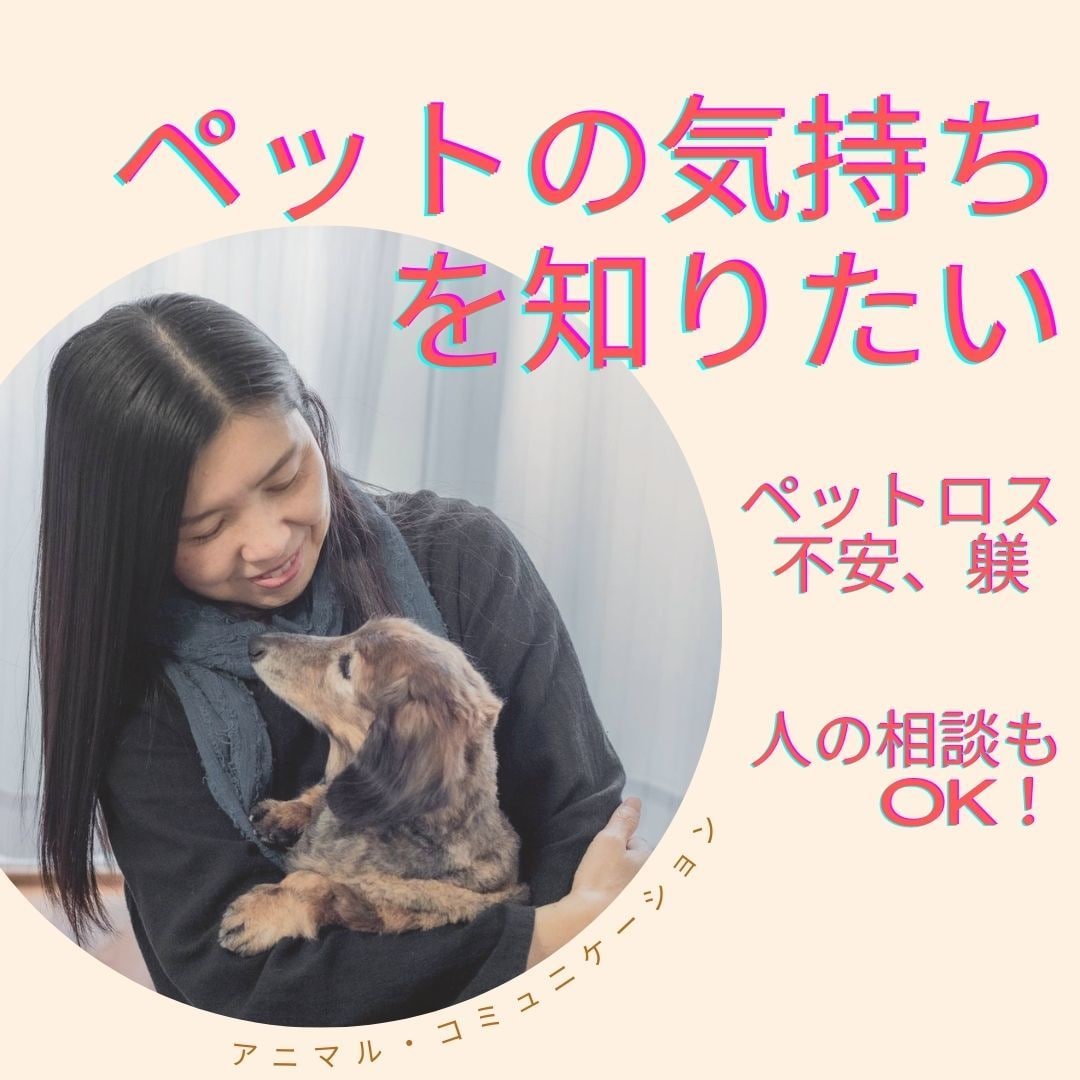霊視【ペットロスを体験】している私がお伝えします ペットを亡くした/ペットロス/寄り添アドバイス/ペットは家族 イメージ1