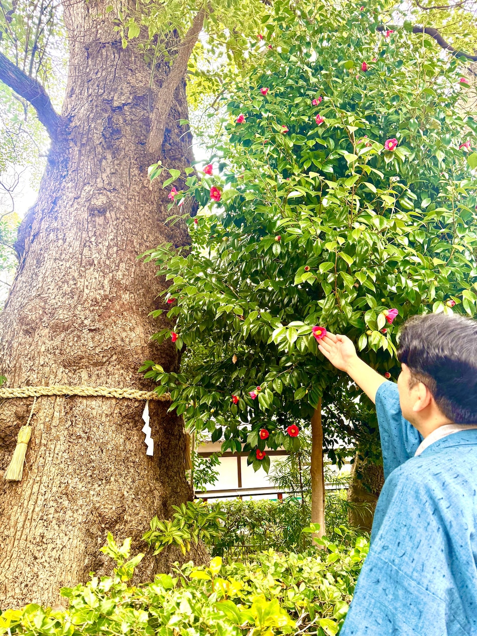 緊急御神託⛩️あなた専用メッセージを授けます 【迷いを断ち切る⚡️特別鑑定】 イメージ2