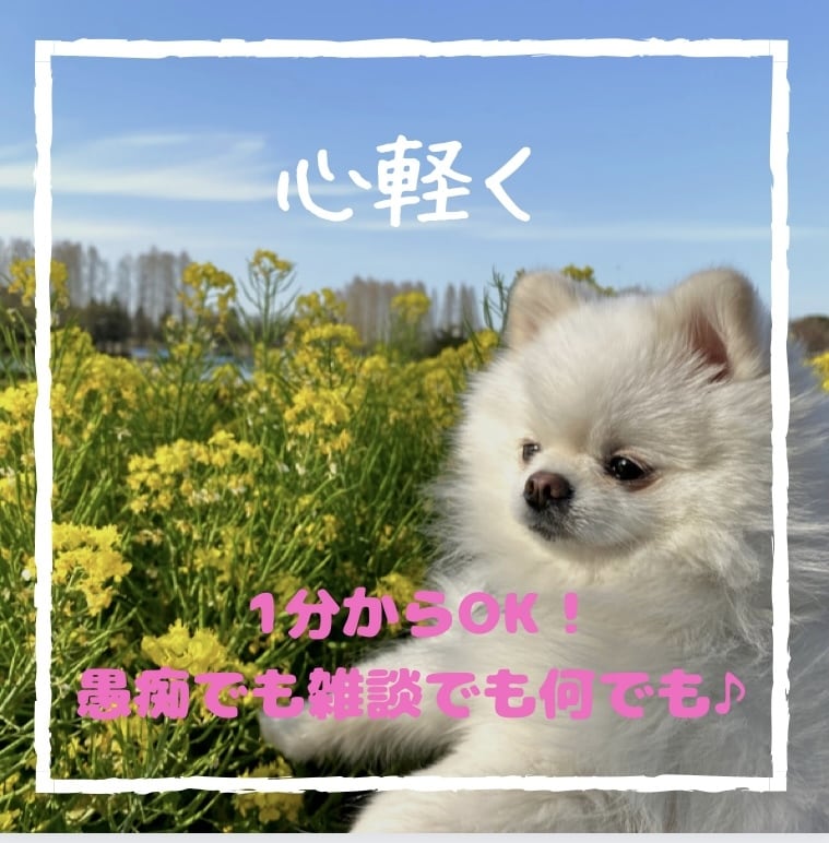 気軽に愚痴/悩み/世間話/なんでもお聞きます 人気セラピストが体ではなく心をほぐします♪ イメージ1