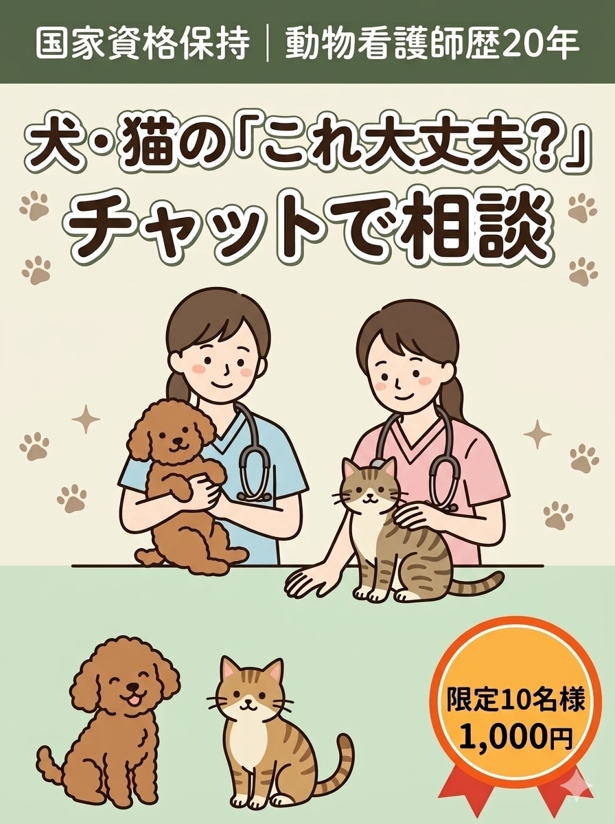 動物看護師歴20年のプロが犬猫の疑問に答えます 国家資格保持の動物看護師が愛犬愛猫の疑問をチャットで解決！ イメージ1