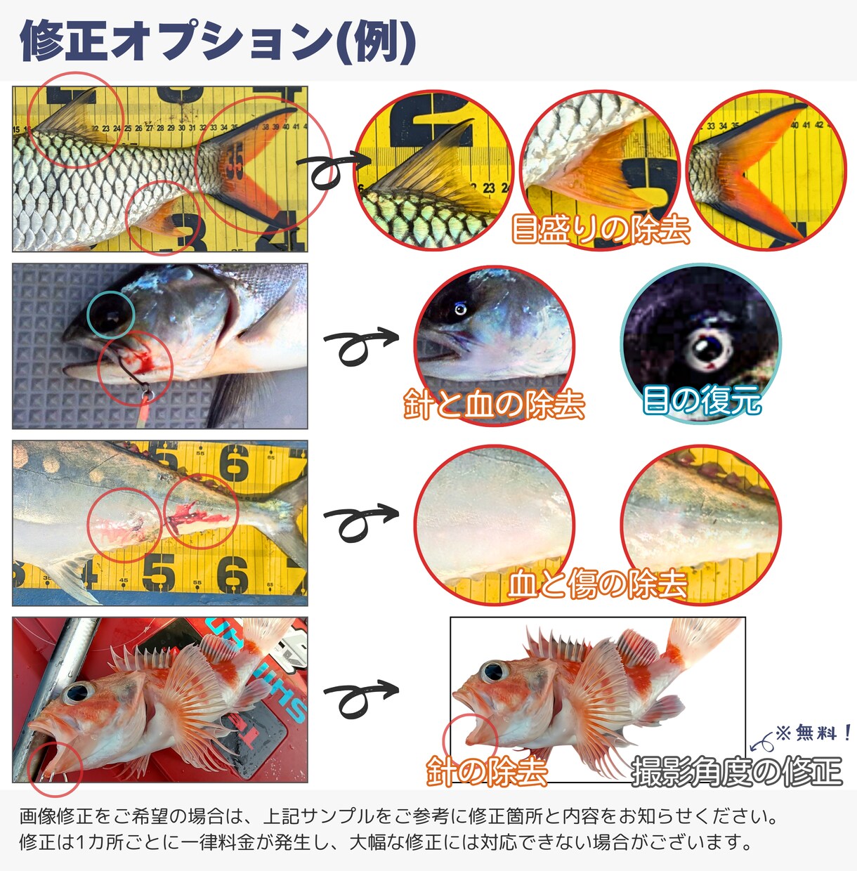 デジタル魚拓：リアル/墨/カラー/水彩から選べます 手刷り魚拓のような風合いで、一味違うデザインをお求めの方へ イメージ5
